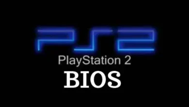 BIOS PS2