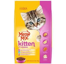 kitten food