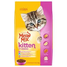 kitten food