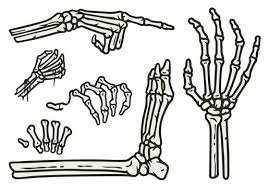 skeleton hand