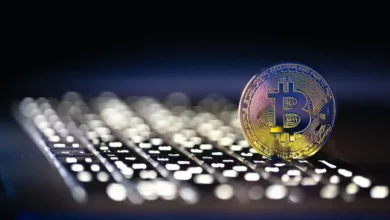 Biitland Stablecoins