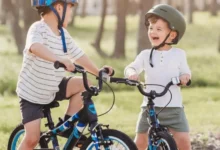Guardian Bikes