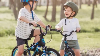 Guardian Bikes