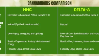 HHC vs Delta 8
