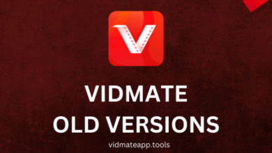 Vidmate Old Version 2013